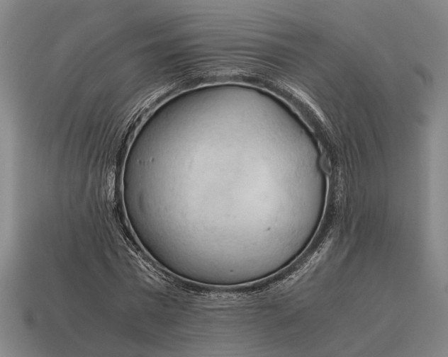X0000115100777200911101544