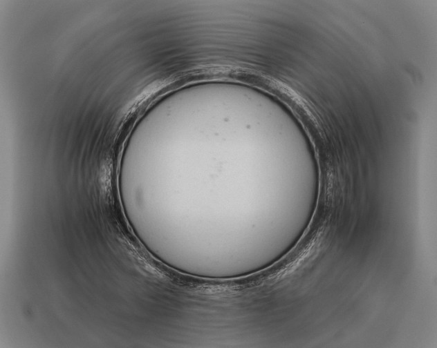 X0000115100778200911101544