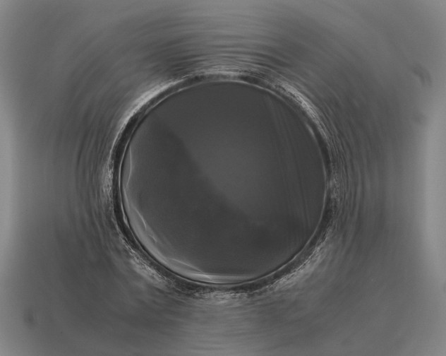 X0000115100779200911101544