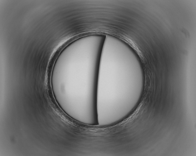 X0000115100780200911101544
