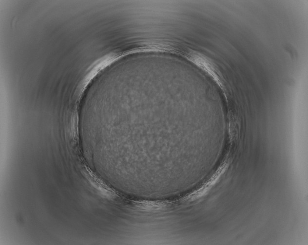X0000115100781200911101544
