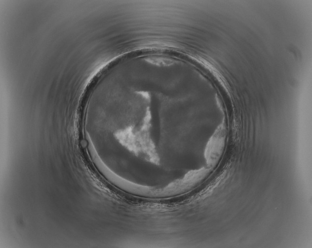 X0000115100783200911101544