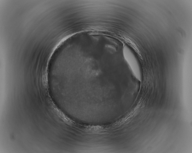 X0000115100784200911101544