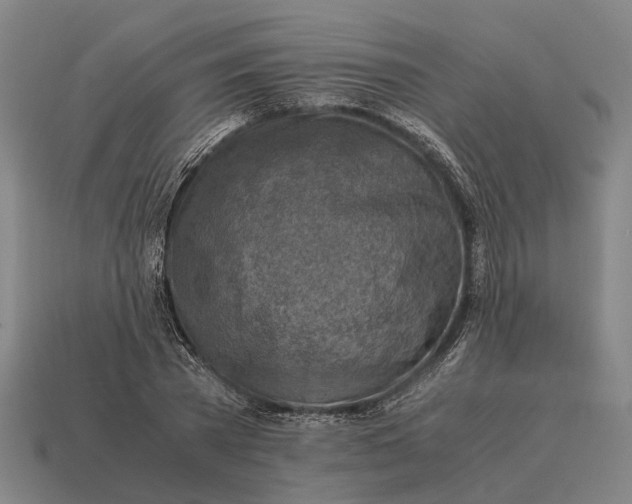 X0000115100785200911101544