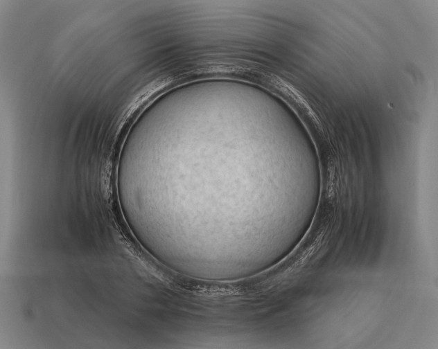 X0000115100786200911101544