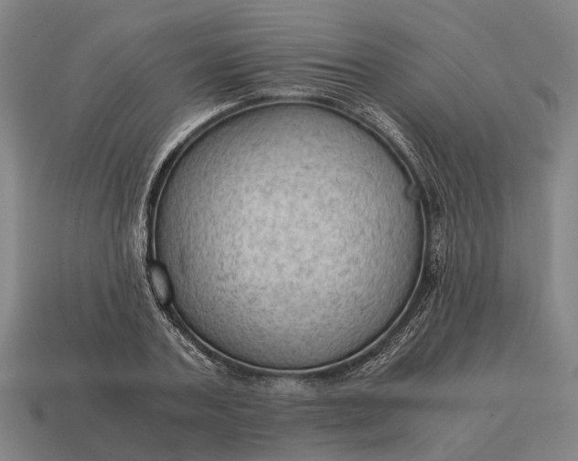 X0000115100787200911101544