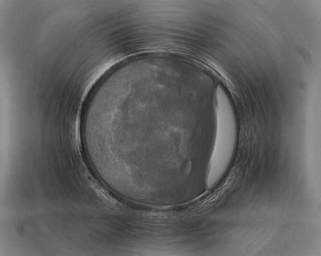 X0000115100788200911101544