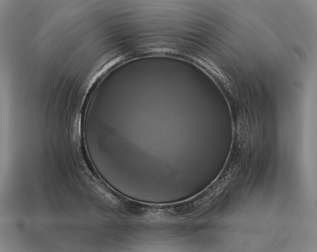 X0000115100790200911101543