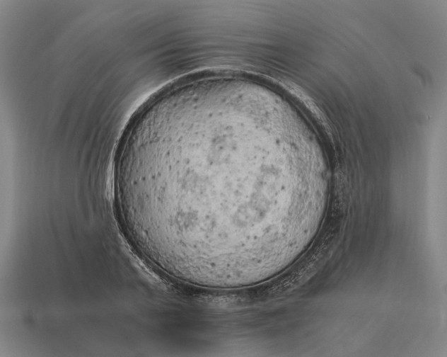 X0000115100791200911101543