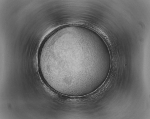 X0000115100792200911101543