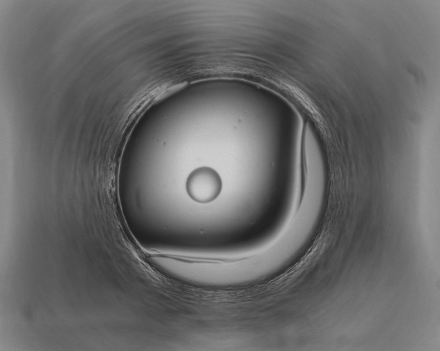 X0000115100793200911101543