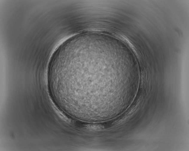 X0000115100795200911101543