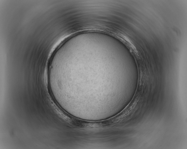 X0000115100796200911101543