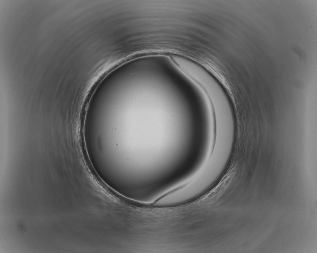 X0000115100797200911101543