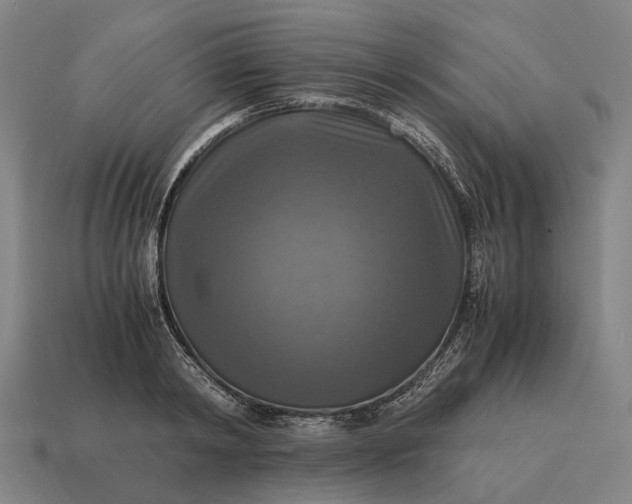 X0000115100798200911101543