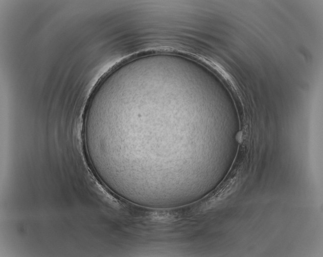 X0000115100799200911101543