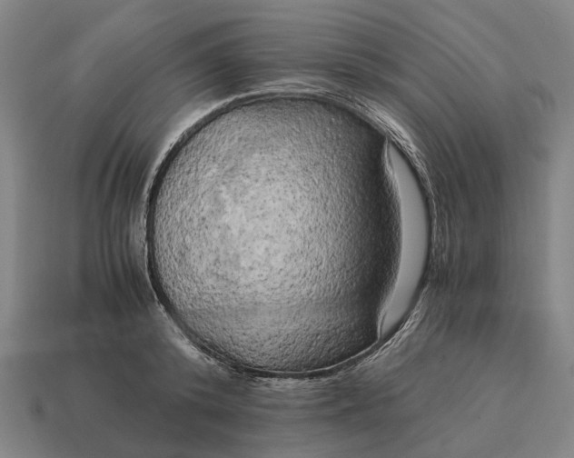 X0000115100800200911101543