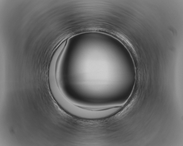 X0000115100801200911101543