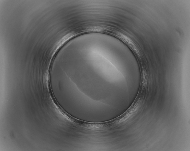 X0000115100802200911101543