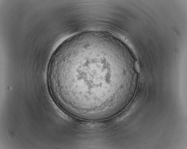 X0000115100803200911101543