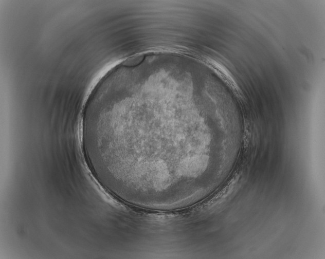 X0000115100804200911101543