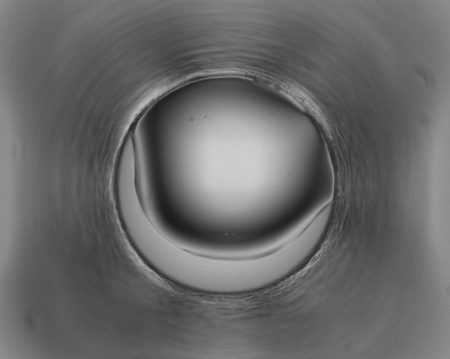X0000115100805200911101543