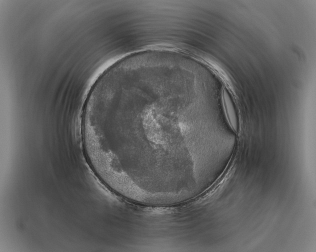 X0000115100808200911101543
