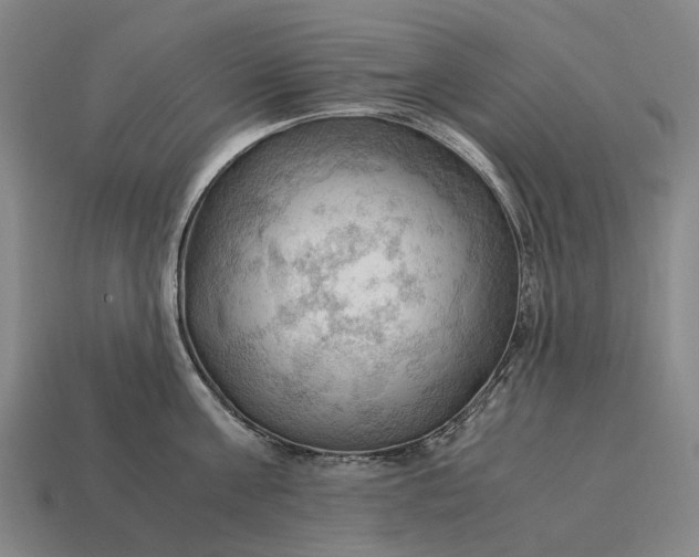 X0000115100811200911101543