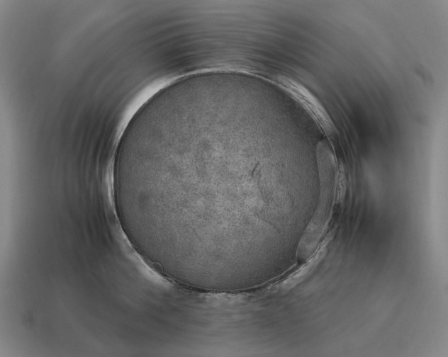X0000115100812200911101543