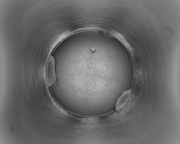 X0000115100813200911101543