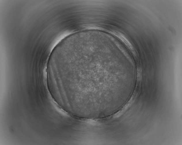 X0000115100814200911101543