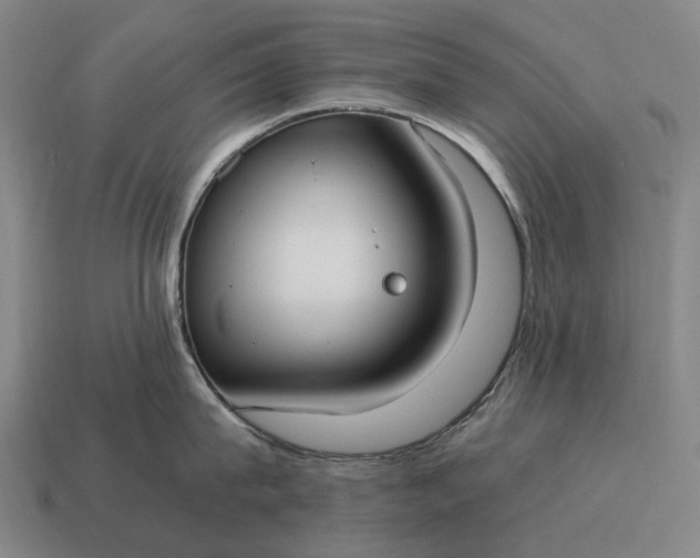 X0000115100815200911101543