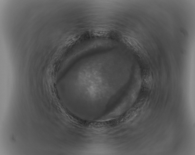 X0000115100817200911101543