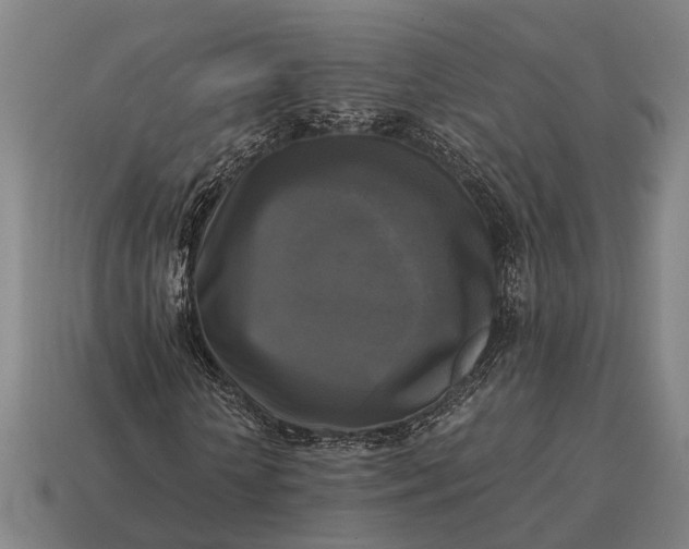 X0000115100818200911101543