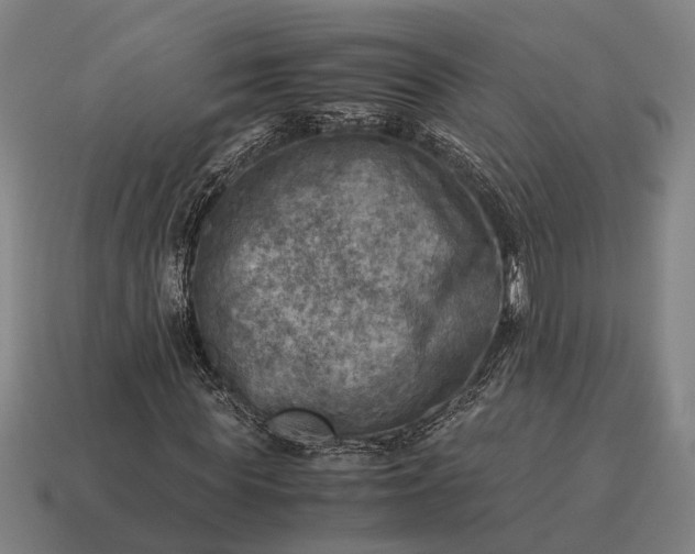 X0000115100819200911101543