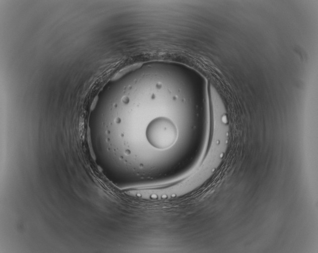 X0000115100820200911101543