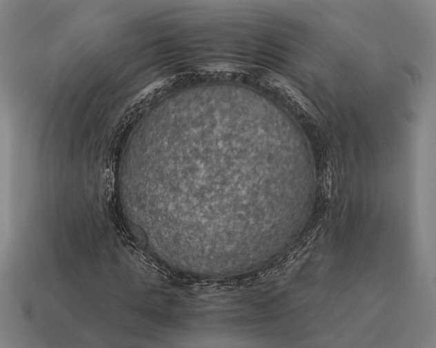 X0000115100821200911101543