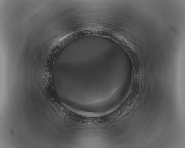 X0000115100822200911101543