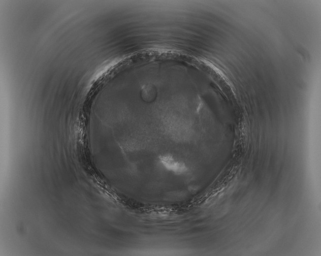 X0000115100823200911101543