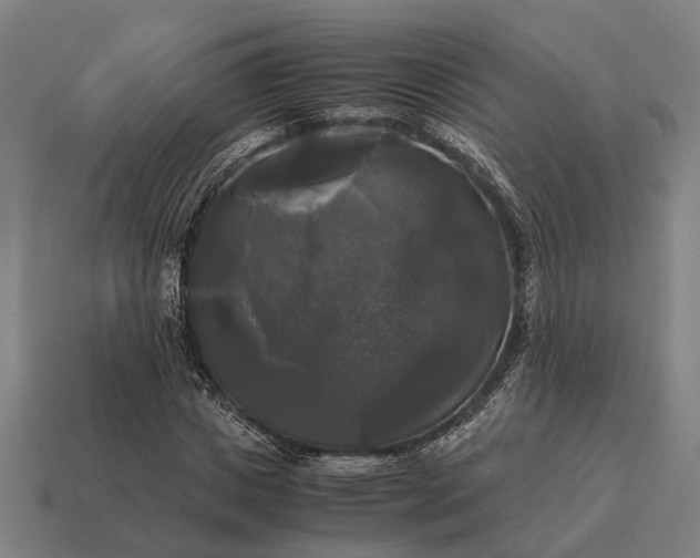 X0000115100825200911101543