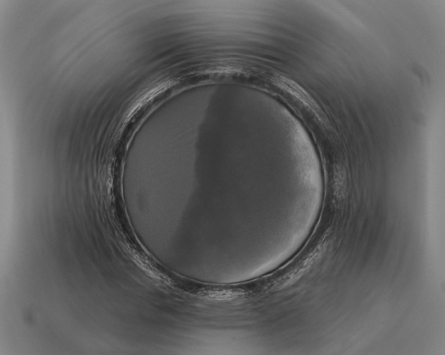 X0000115100826200911101543