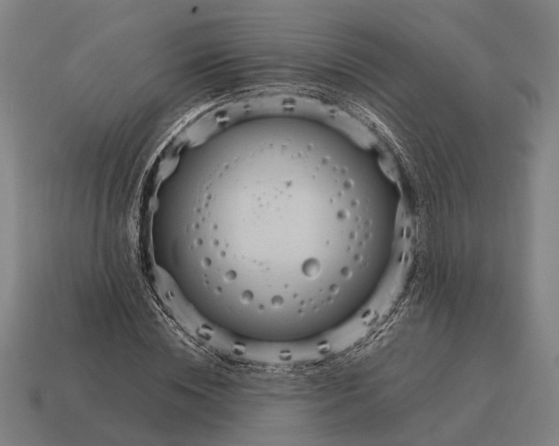 X0000115100828200911101543