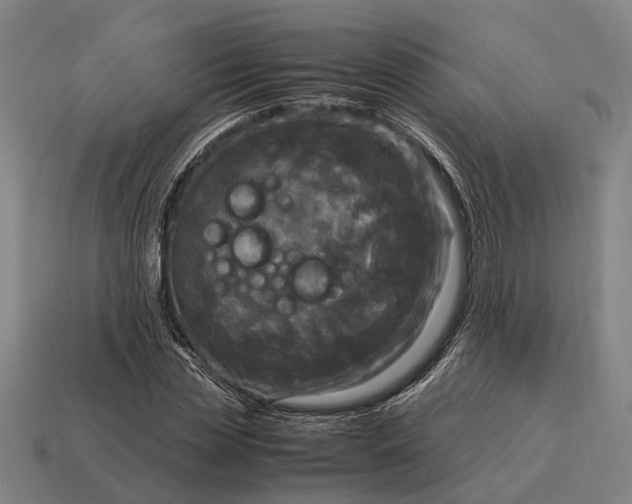 X0000115100829200911101543