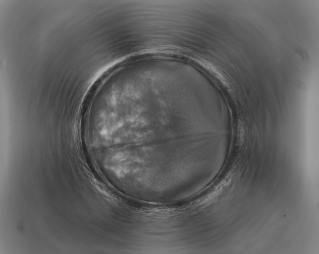 X0000115100830200911101543
