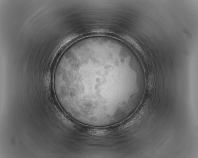 X0000115100831200911101543