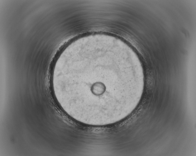X0000115100832200911101543