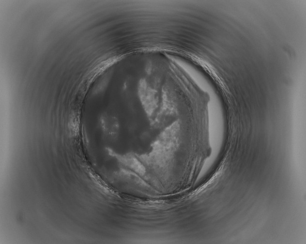 X0000115100833200911101543