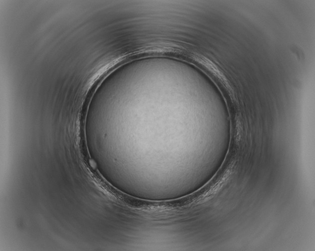 X0000115100834200911101543