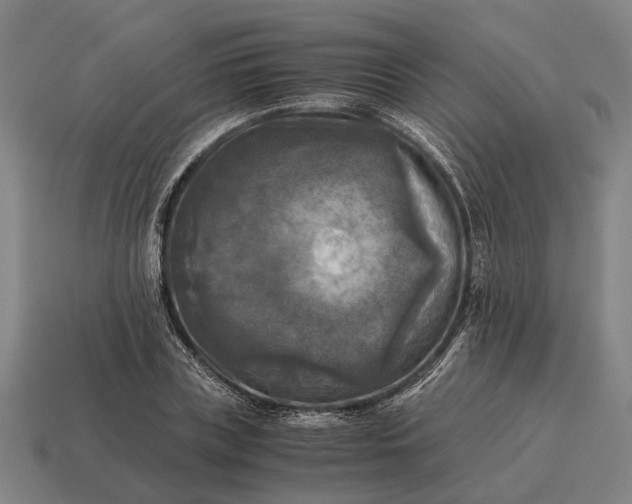 X0000115100835200911101543