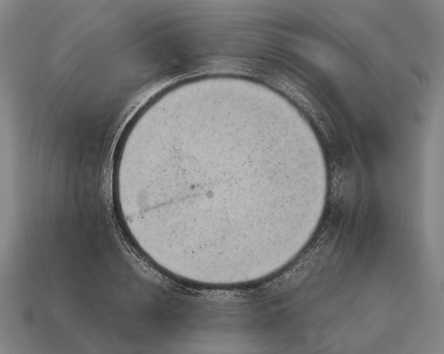 X0000115100836200911101543